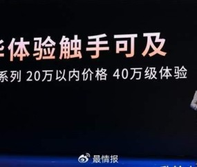 板球赛场再起风云：祁连鲨队队击败荆楚独角兽队，脚步移动更到位防线高度稳定-爱游戏官网