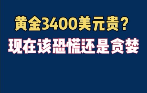 专家称Gate将在年底冲破316美元，引发引发关注-爱游戏在线